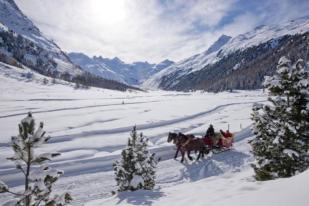 Bernina Express Eco Rooms&Breakfast Tirano Eksteriør billede